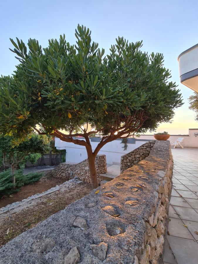 Villa Panoramica Sunset House 托雷瓦多 外观 照片